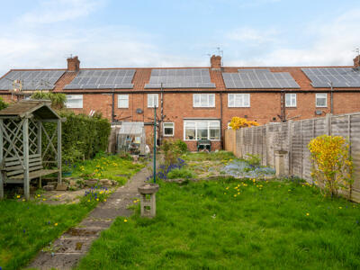 Picture 13